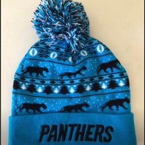 Carolina Panthers Beanie Hat With Pom  Pom Warm Winter
